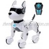 Top Race Remote Control Robot Dog Toy for Kids Interactive & Smart Dancing to Beat Puppy Robot Act Like Real Dogs Gift Toy for Girls & Boys Ages 2,3,4,5,6,7,8,9,10 Years