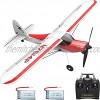 RC Airplane 4 Channel Remote Control Plane 2.4Ghz Radio Control 6 Axis Gyro with Aileron RC Plane RTF with Xpilot Stabilization System One-Key Aerobatic Feature Perfect for Beginner 761-4 RTF