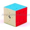 CuberSpeed Qiyi Fisher Cube stickerless Puzzle