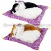 Coolayoung 2Pcs Sleeping Cat on Pad Doll Toy Cute Large Kitten on Pad with Meows Sounds Decor Hand Toy Gift for Kids Boys Girls Yellow Block+Black Block