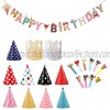 22 Pieces Birthday Party Cone Hats Mini Birthday Hats with Colorful Party Blowouts and Happy Birthday Banner Birthday Party Hats Decorations for Baby Kids Pets Birthday Party