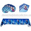Frozen Theme Party Supplies 18 Plates 20 Napkins and 1 Tablecloth Frozen Party Decoration