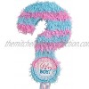 amscan P33535 Gender Reveal Party Pull String Pinata 55cm