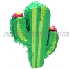 Cinco De Mayo Cactus Pinata for Kids Birthday Party 16.75 x 11.25 x 3 in. for Fun Fiesta Taco Party Supplies Luau Event Photo Props Mexican Theme Decoration Carnivals Festivals Taco Tuesday Event