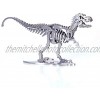 Haoun 3D Metal Puzzle DIY Assembly Dinosaur Model Stainless Steel Model Kit Jigsaw Puzzle Brain Teaser Toy Home Decoration Office Desk Ornament Tyrannosaurus