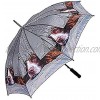 I Spy Spaniel Mini Folding Umbrella -