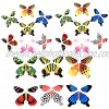 Gmai Magic Flying Butterfly Classic Wind Up Swallowtail Butterfly Close Up Magic Set of Surprise Greeting Card or Romatic Wedding 20pcs