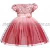 Rishine Infant Girls Gradient Sequin Princess Dress Wedding Party Evening Star Mesh Outfits Skirt